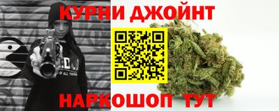 сатива Будённовск