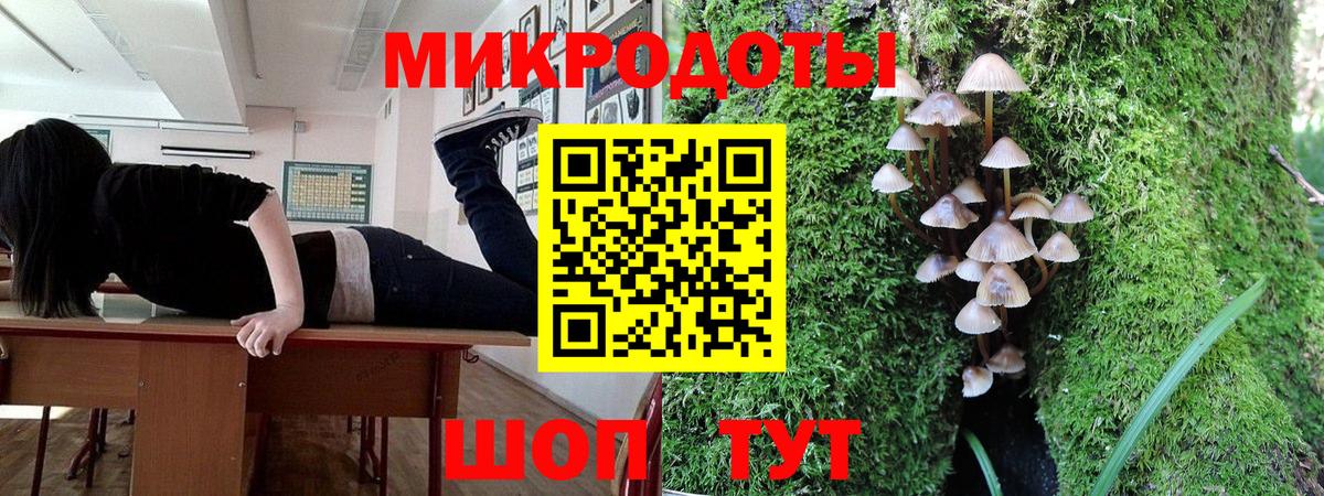 Нарьян-Мар  Галлюциногенные грибы Psilocybe  Вход с VPN 